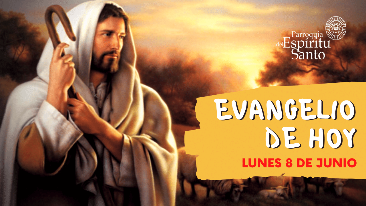 Evangelio del día