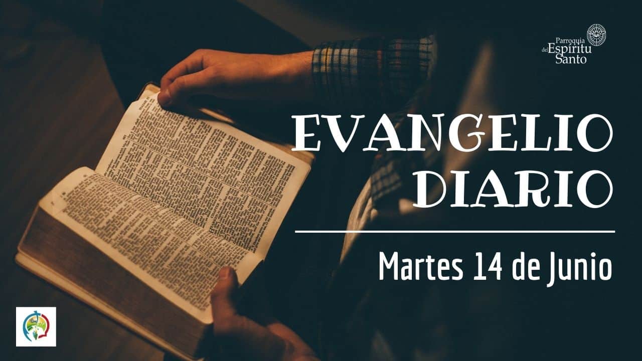 EVANGELIO DE HOY - 14 DE JUNIO 4