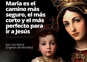 15 DE AGOSTO - ASUNCIÓN DE LA VIRGEN MARÍA 2 15 DE AGOSTO - ASUNCIÓN DE LA VIRGEN MARÍA 2